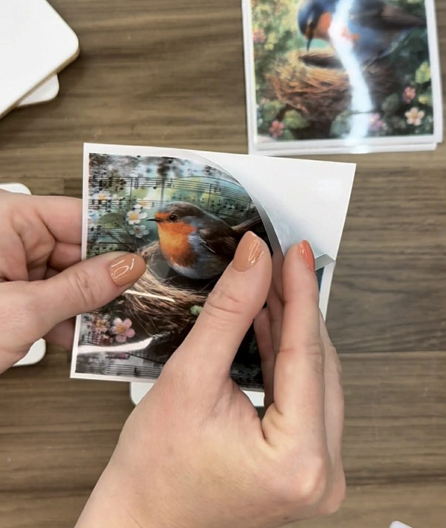 20f930af-7373-4e5c-b27b-31e25c3f4b51